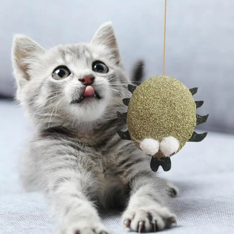 Catnip Chew Toy