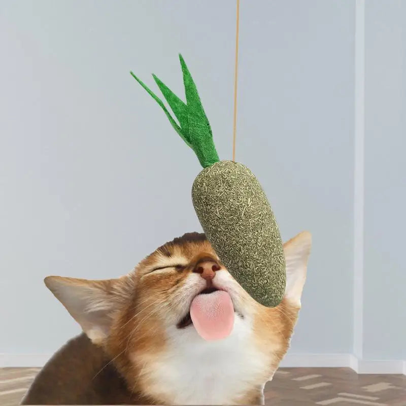 Catnip Chew Toy