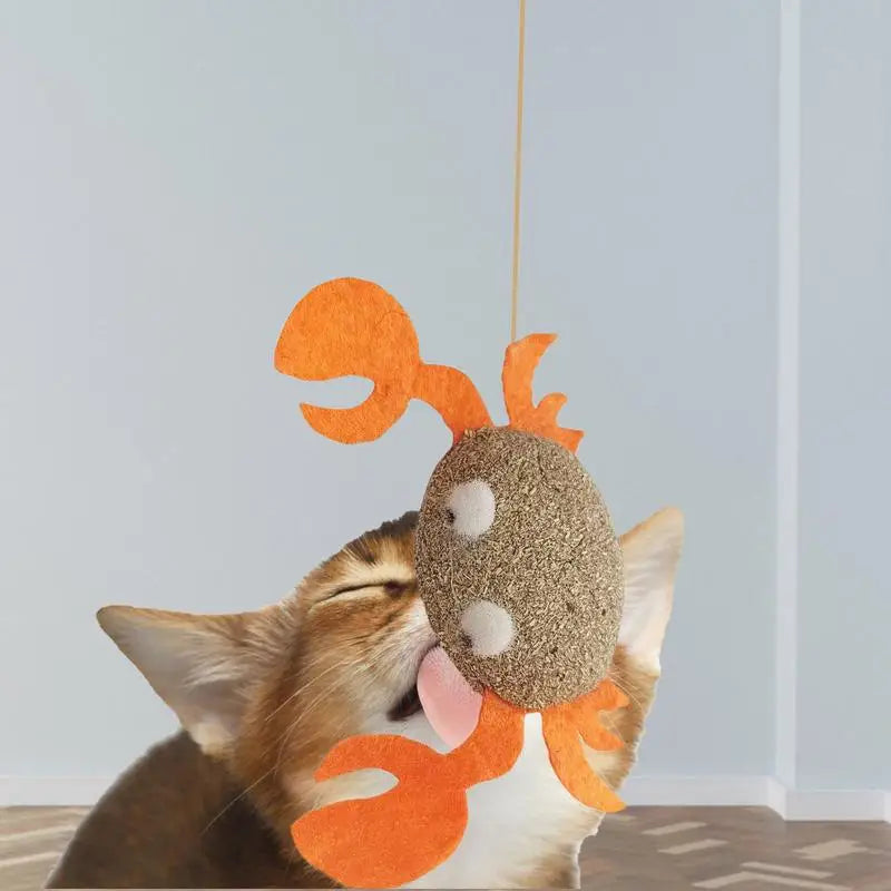 Catnip Chew Toy