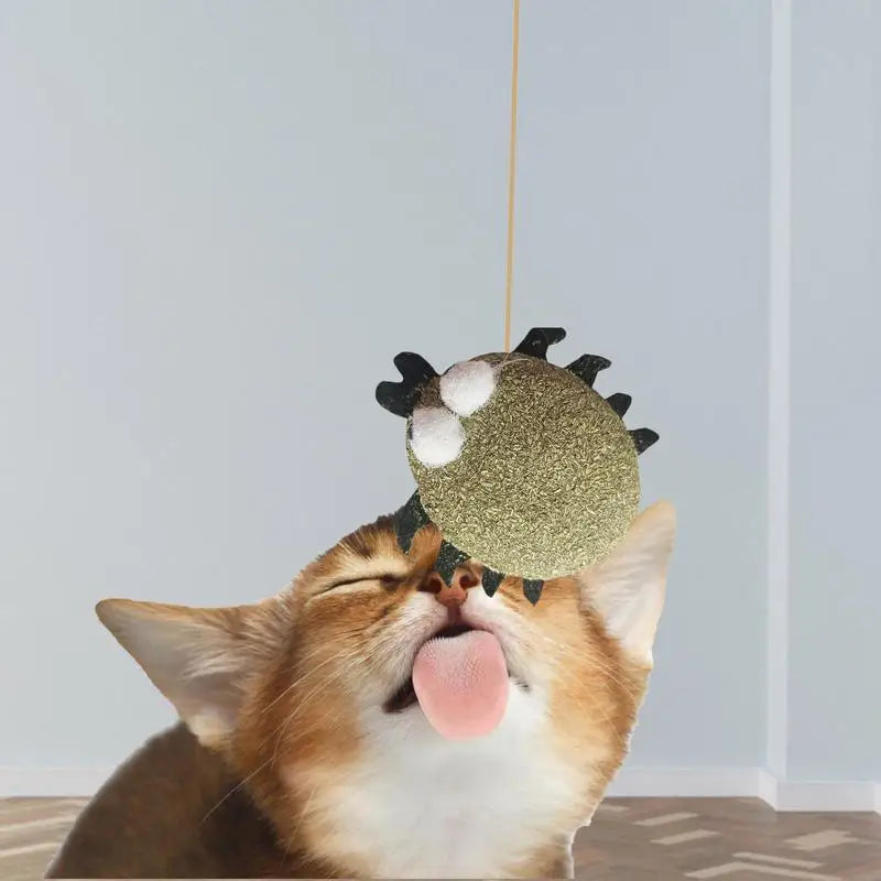 Catnip Chew Toy