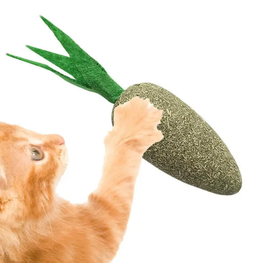 Catnip Chew Toy